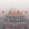 摇头摆尾的动物一肖